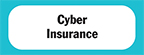 cyber insurance
