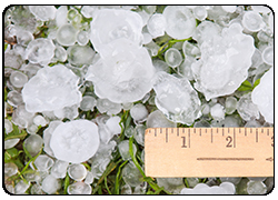 Preparing for a Billion-Dollar Hail Storm