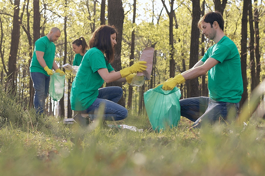 nonprofit-social-services-minico