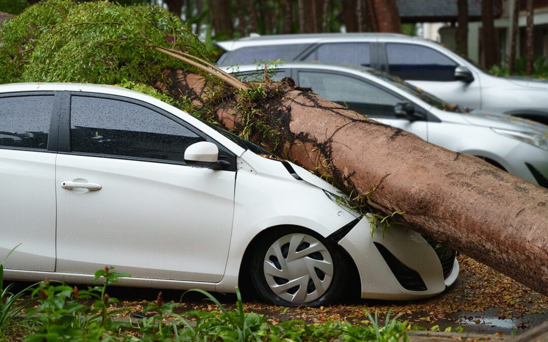 The Financial Impact of Hailstorms