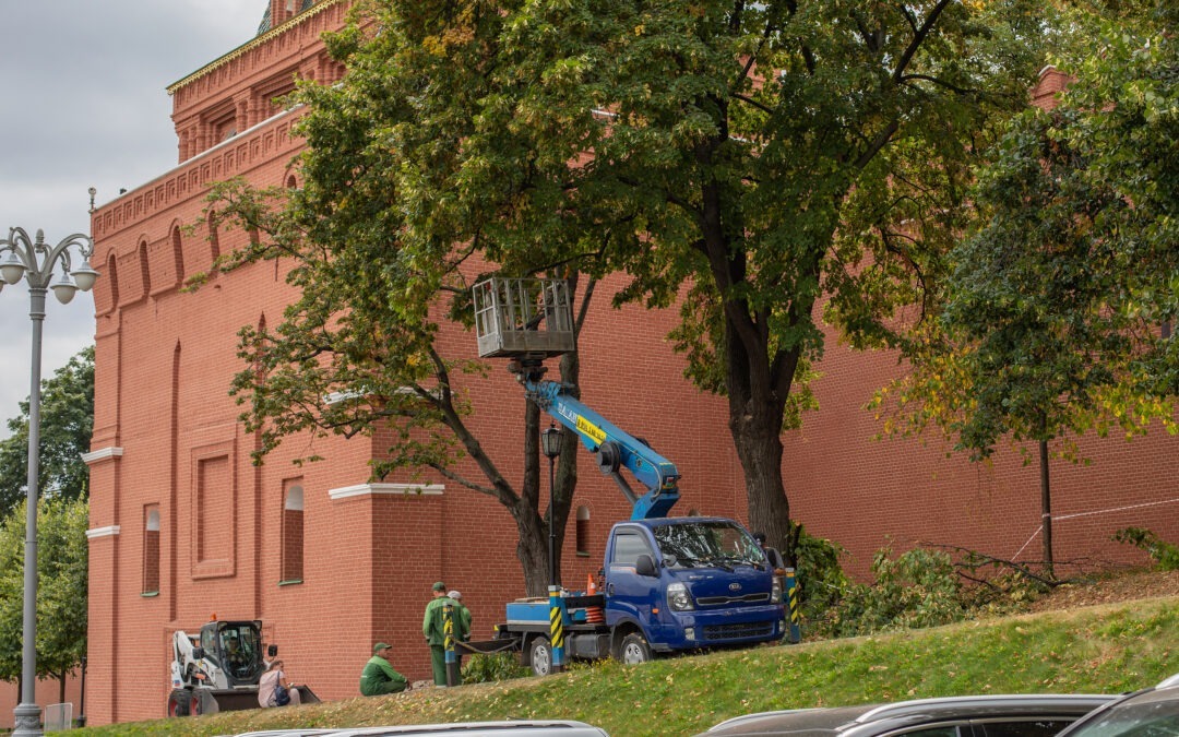 Arborist Insurance Spring Tune-Up: Helping Your Landscaping Clients Look Better to Underwriters