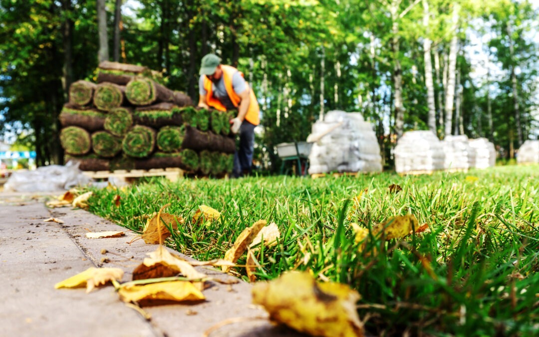 Top 9 Landscaping Insurance Claims (and How to Help Clients Avoid Them)