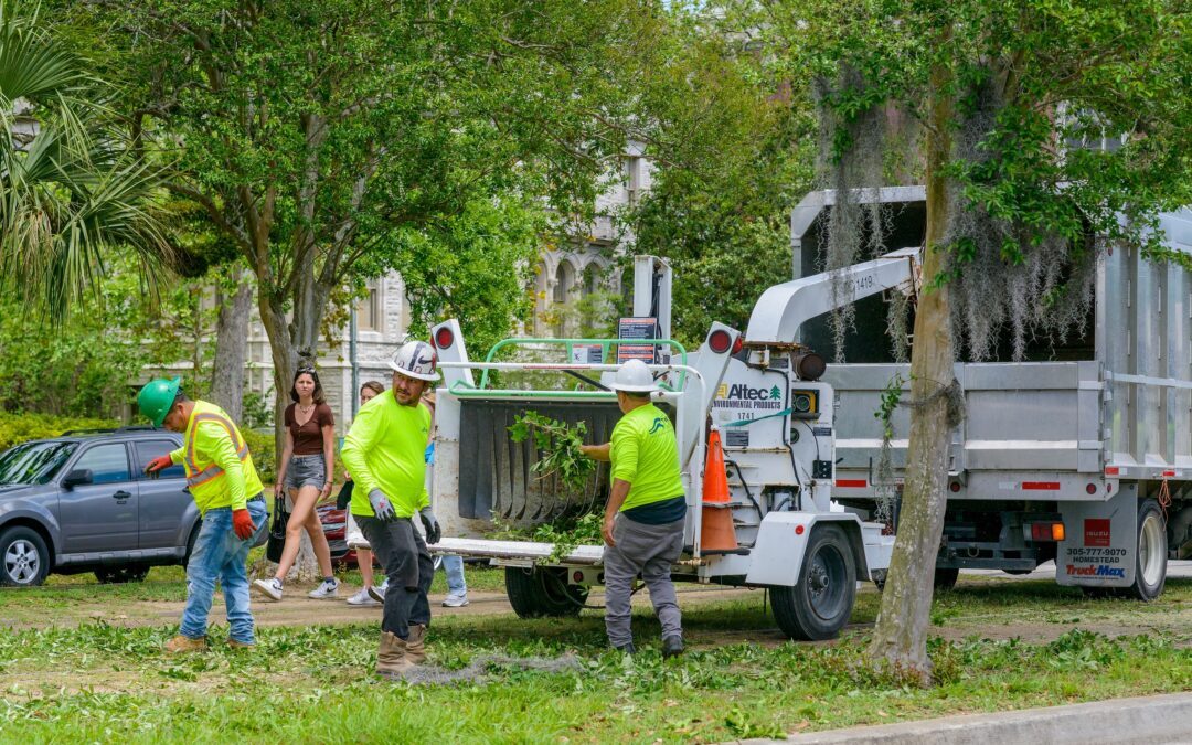 Why California Landscapers Face an Uphill Climb in 2025