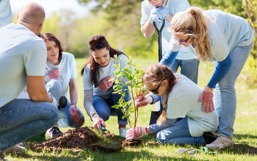 Bridging the Gap: Customized Policy Solutions for Emerging Nonprofit Needs