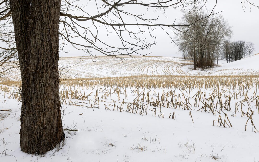 Extreme Weather: When Farmers Need More Than a Raincoat