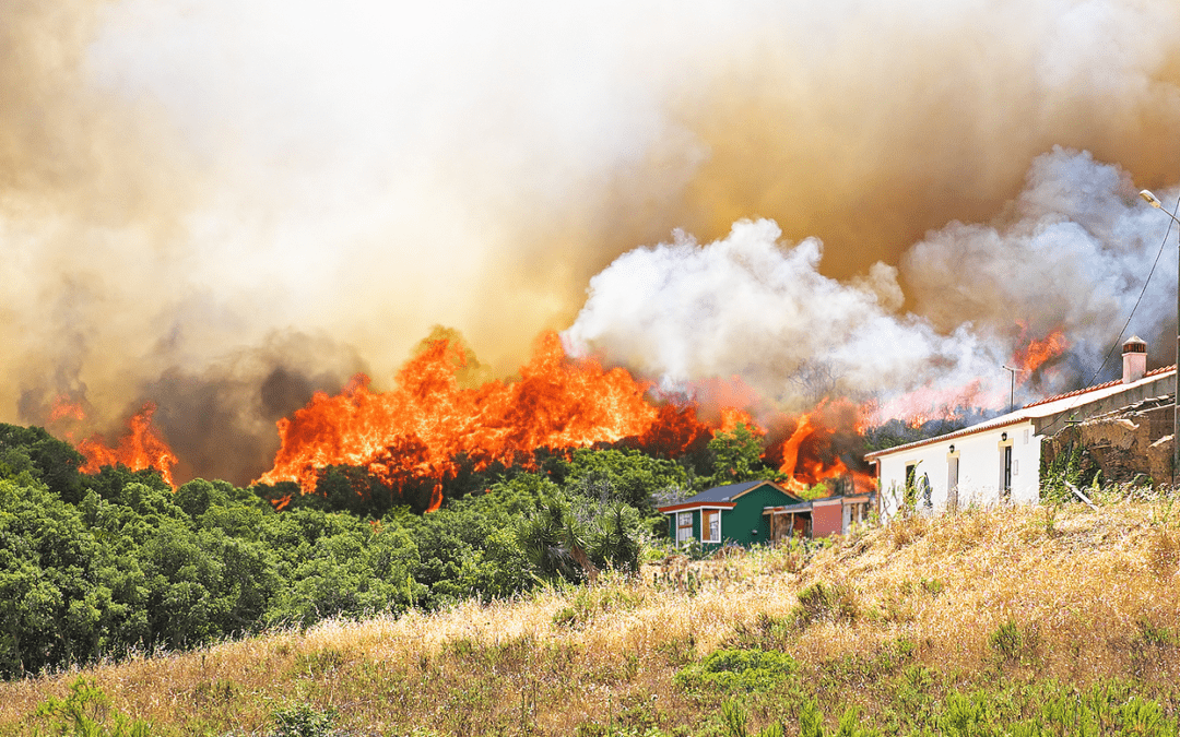 Navigating the 2024 Wildfire Season