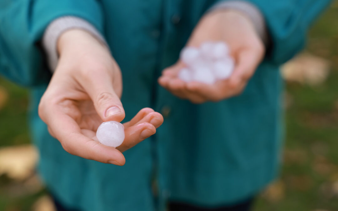 Plan Ahead for Hail, Wind, and Severe Storms