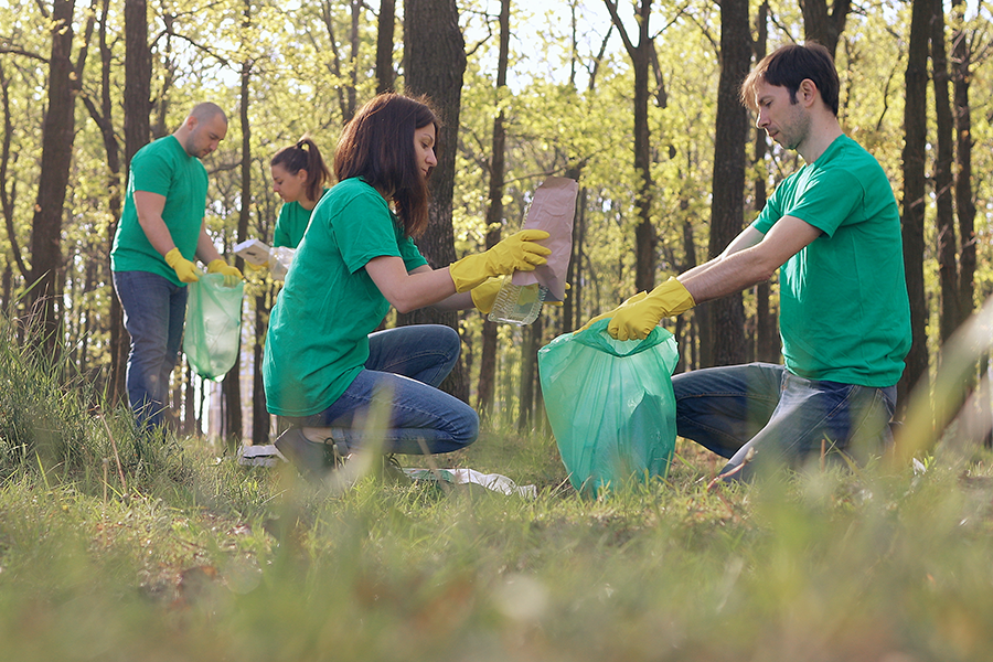 nonprofit-social-services-minico