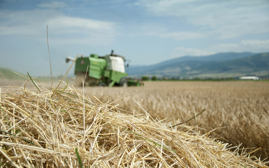 How Weather Trends are Affecting Agribusiness