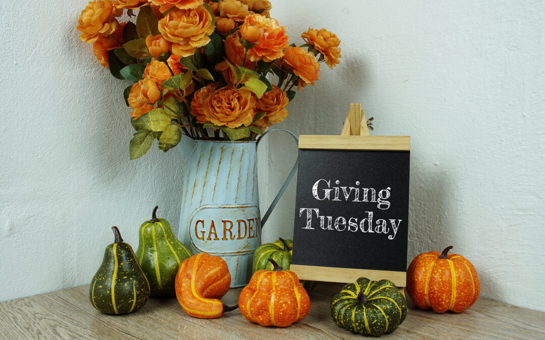 Nonprofit Insurance for Giving Tuesday 2023 — And Beyond