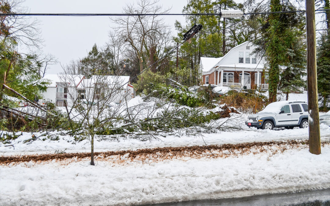 Winter Preparedness is Key as Regulators Warn of Grid Disruptions