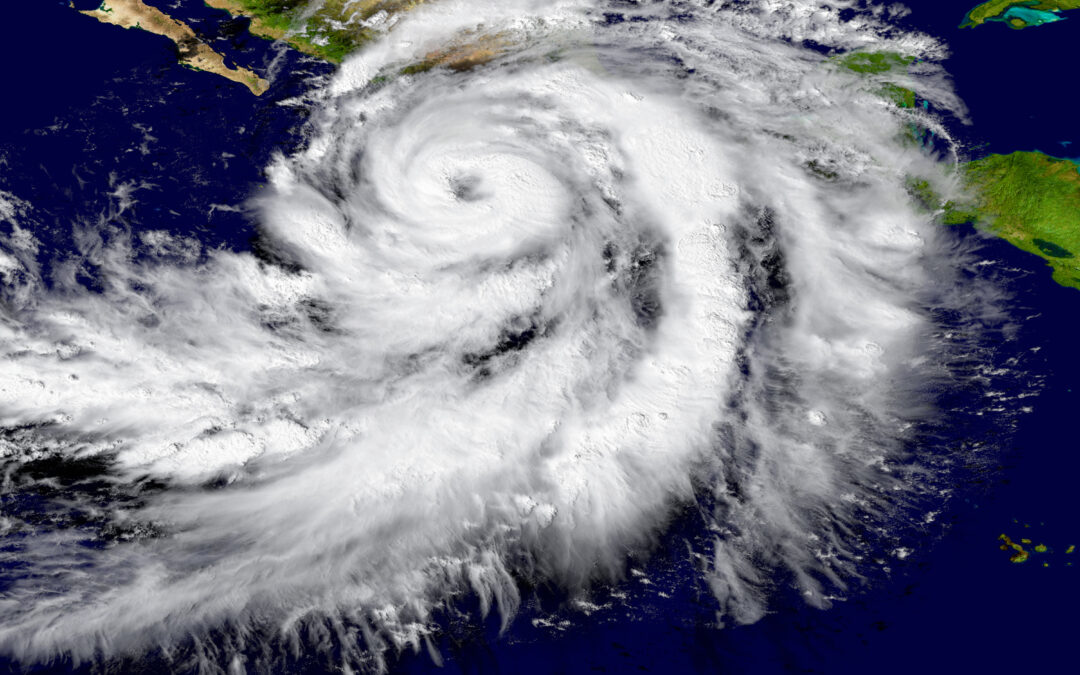 Aggressive Predictions: Weathering the 2024 Hurricane Season