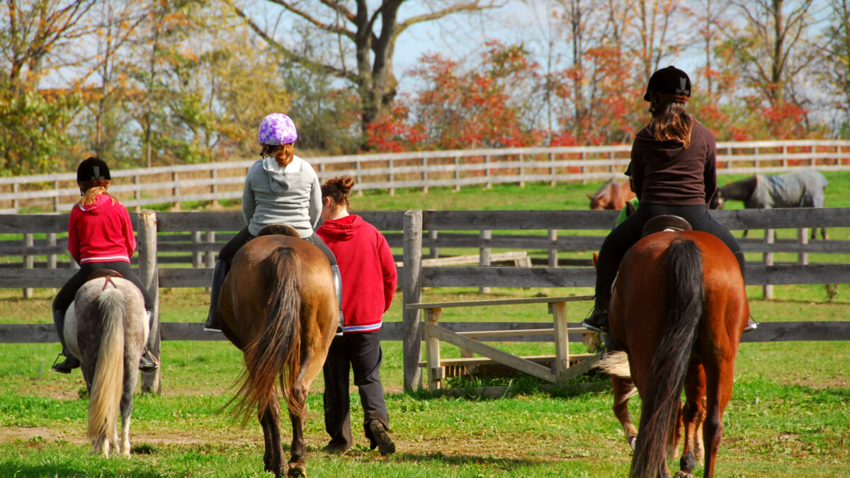 Understanding Equine Liability Insurance